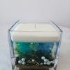 Ortansia Blue Candle